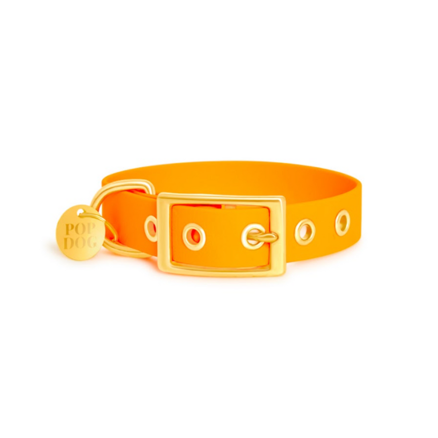 Le collier à œillets PITCHOUNE