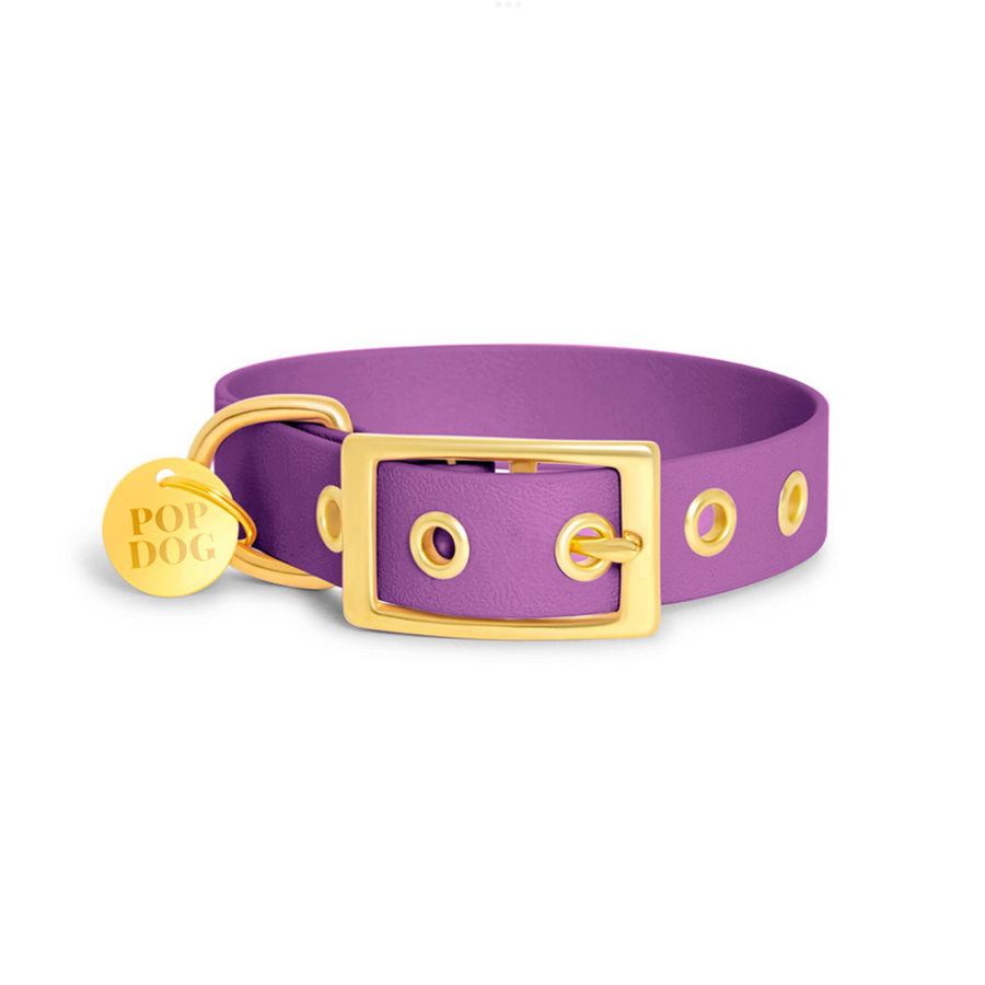 The PRECIOUS eyelet collar