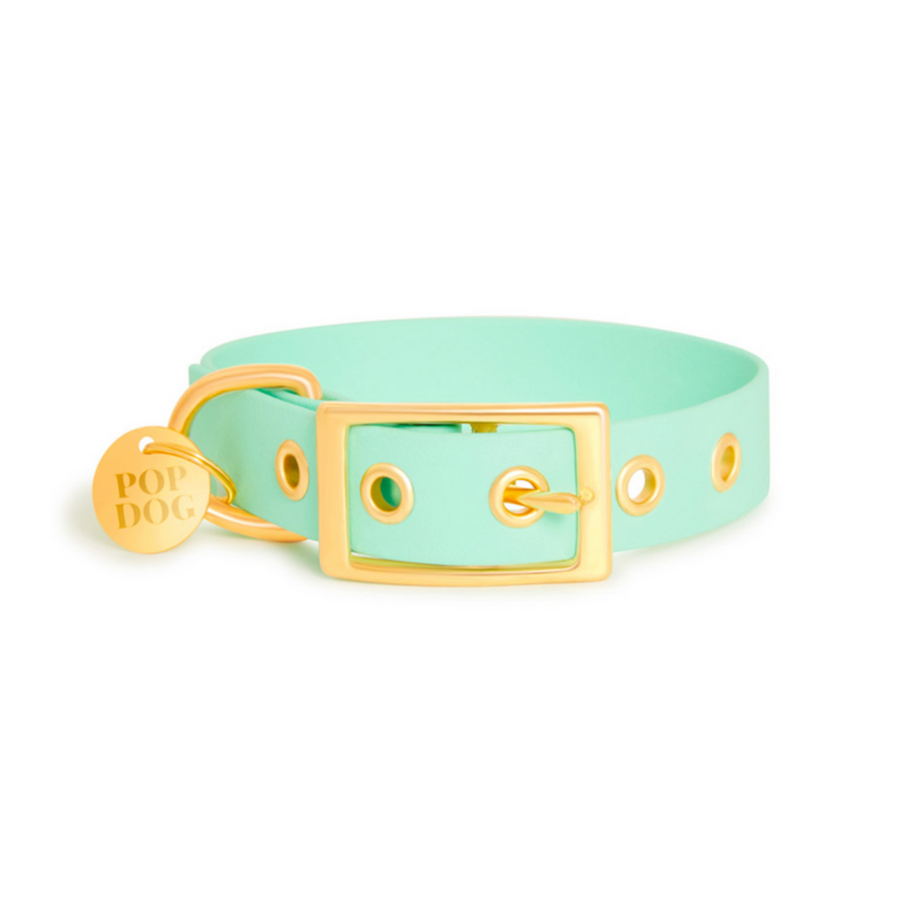Le collier à œillets SWIMMY