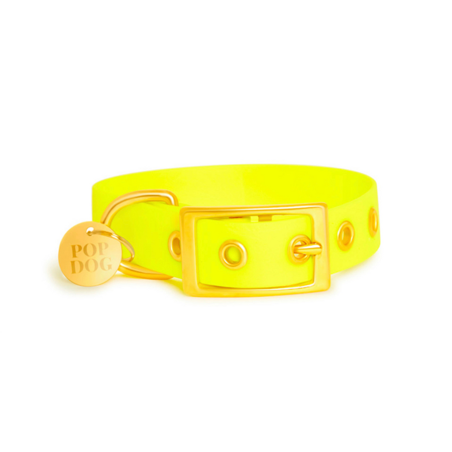 Le collier à œillets JOYEUX