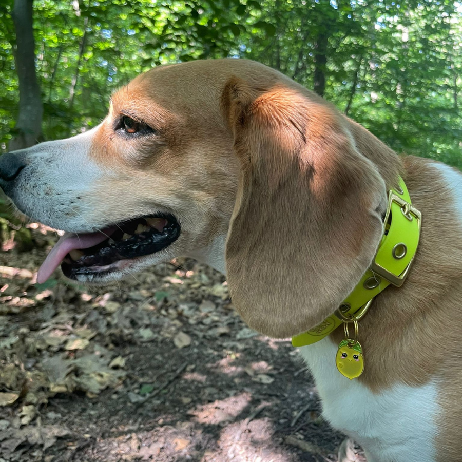 Médaille citron mignon 🍋