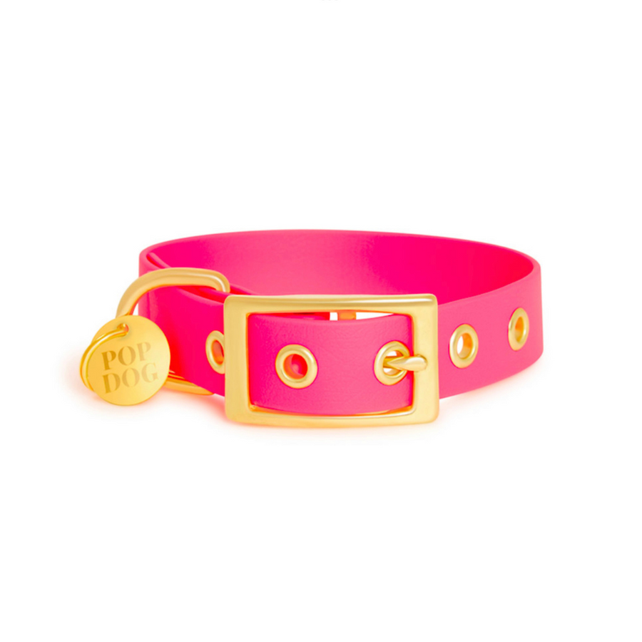 Le collier à œillets GLOUTON