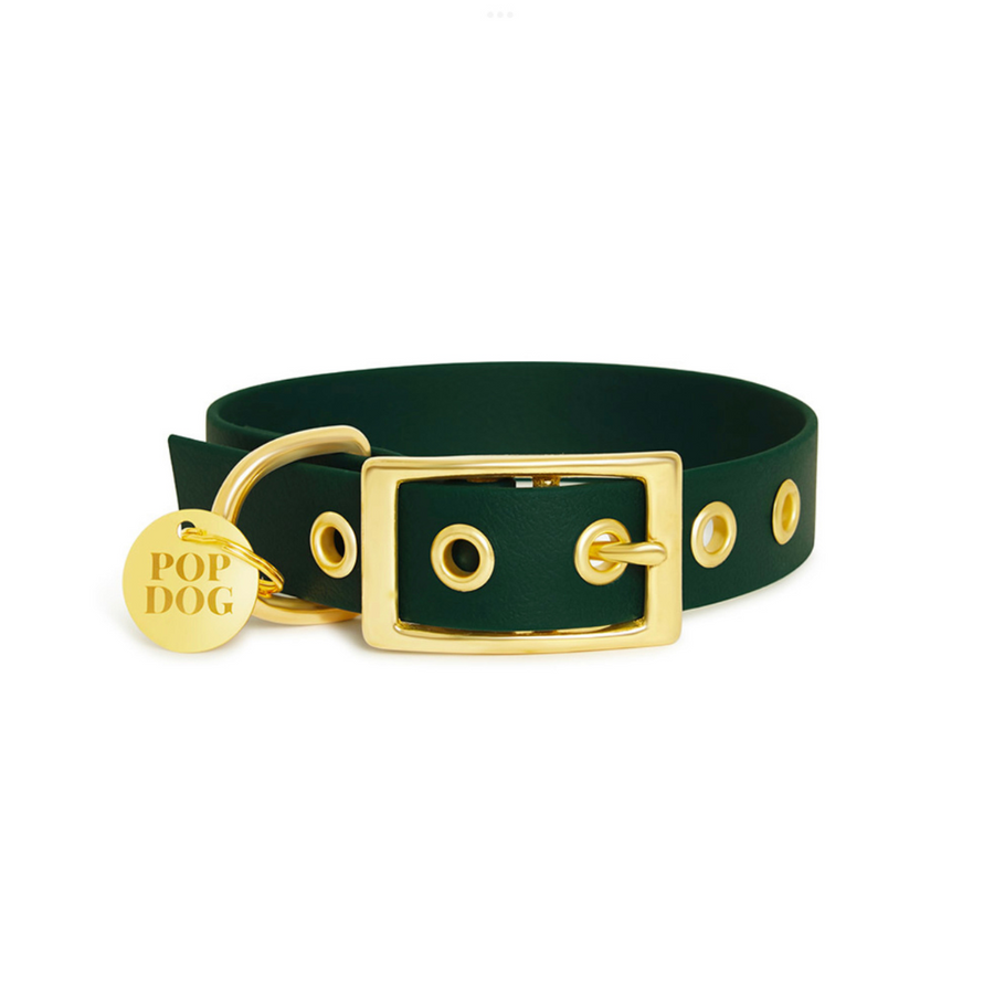 Le collier à œillets ÉLÉGANT