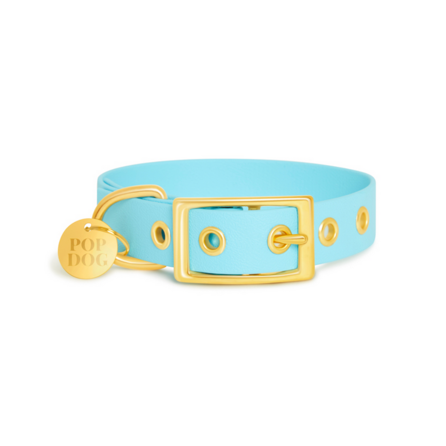 Le collier à œillets DRAGUEUR