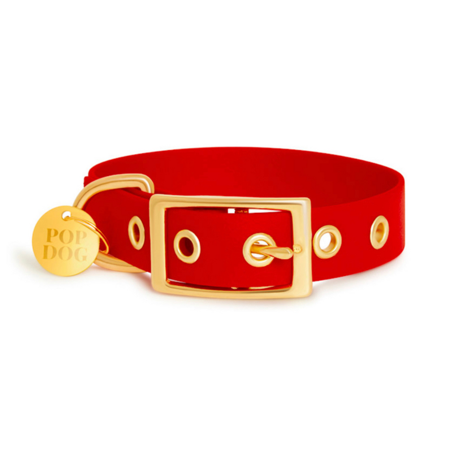 Le collier à œillets DIABLOTIN