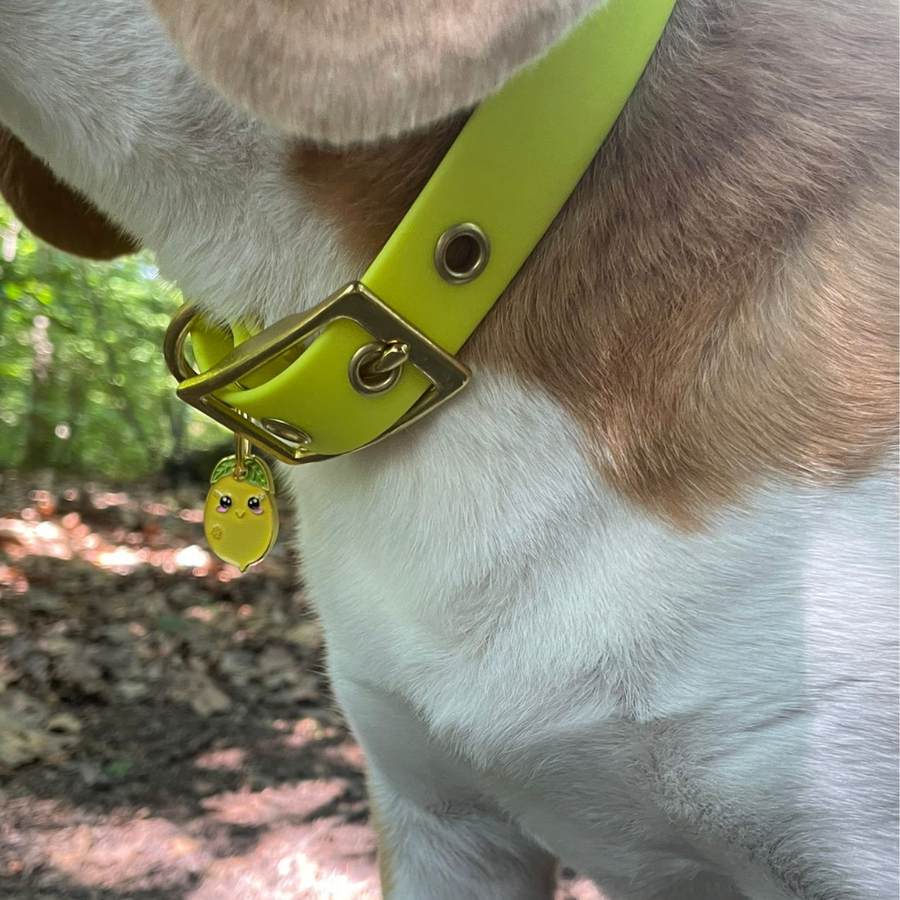 Médaille citron mignon 🍋