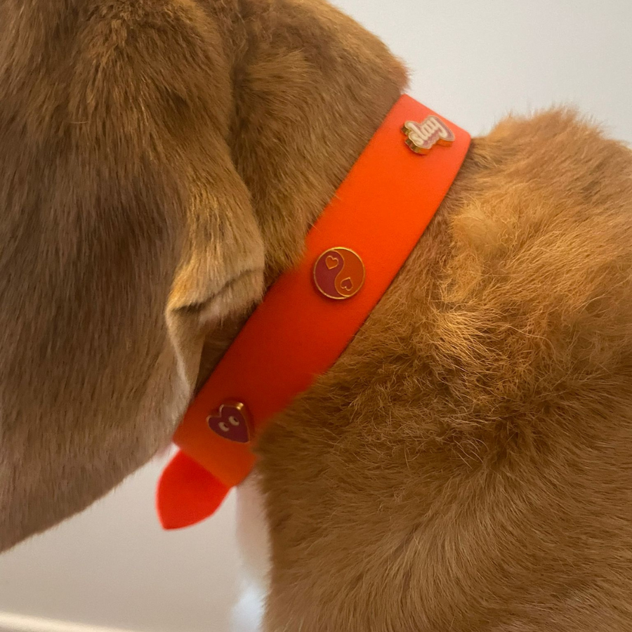 Le collier à œillets percé FOUFOU pour pins POPS