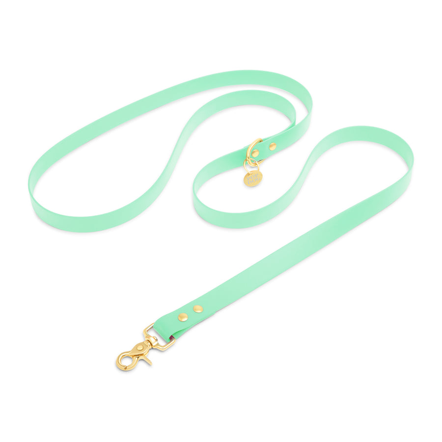 The SWIMMY hands-free leash